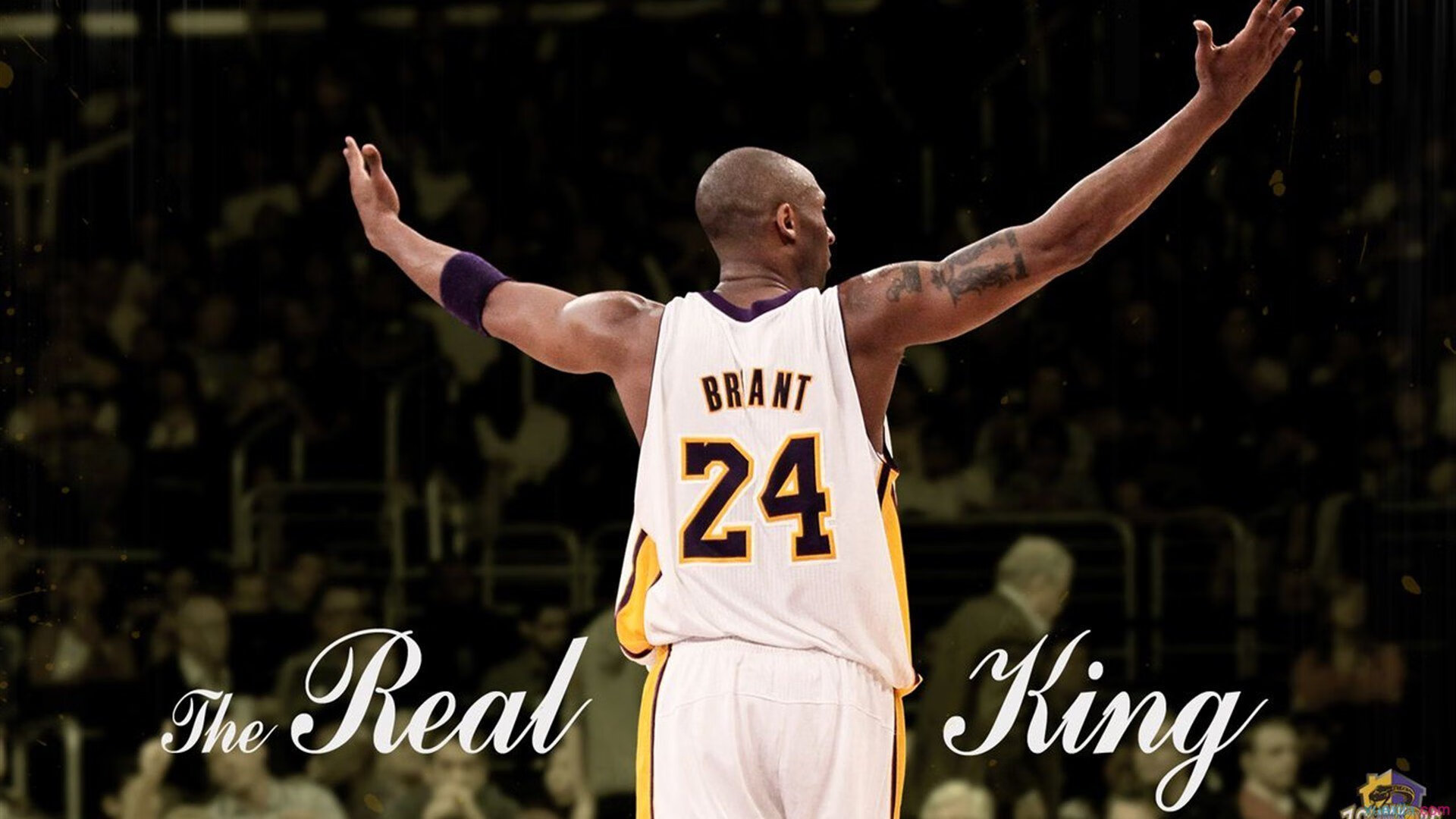 开云体育娱乐-_快船全员奋战,追逐排名第一目标_,快船主要成员